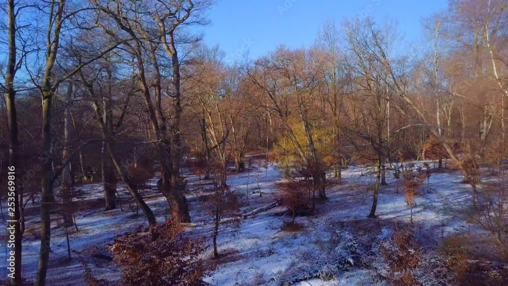 View from above frozen forest on a sunny winter morning View from above frozen forest on a sunny winter morning
