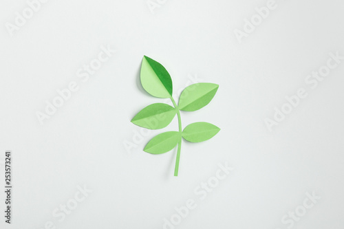 top view of green paper plant with leaves on grey background