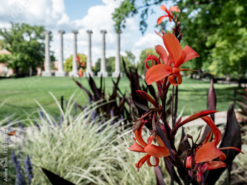 Mizzou Columns and Flowers photo