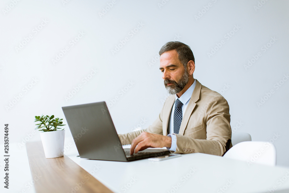 Mature businessman in classic suit using a laptop while working in his office Mature businessman in classic suit using a laptop while working in his office