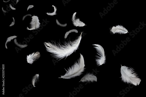 white feathers floating in the dark.