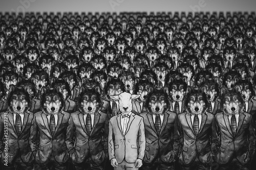 sheep alone among many wolves. Wolves and sheep, concept of minority or injustice