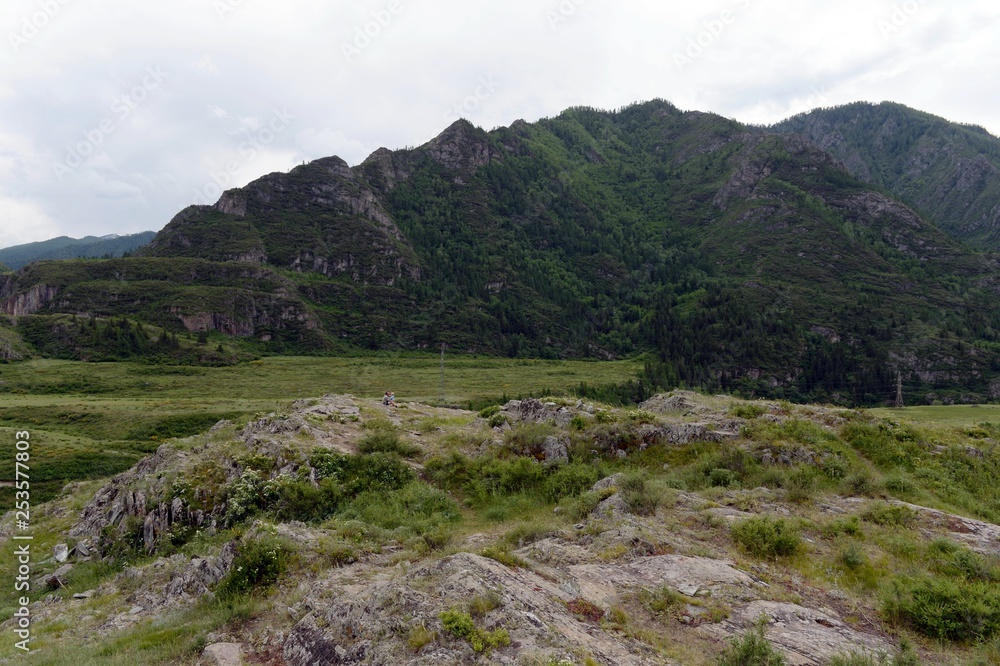   Kalbak-Tash tract, famous for its petroglyphs with images of animals