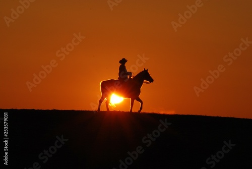 Cowboy riding horse in the sunset