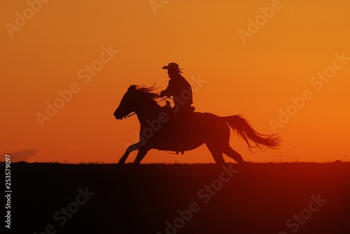 Cowboy riding horse in the sunset