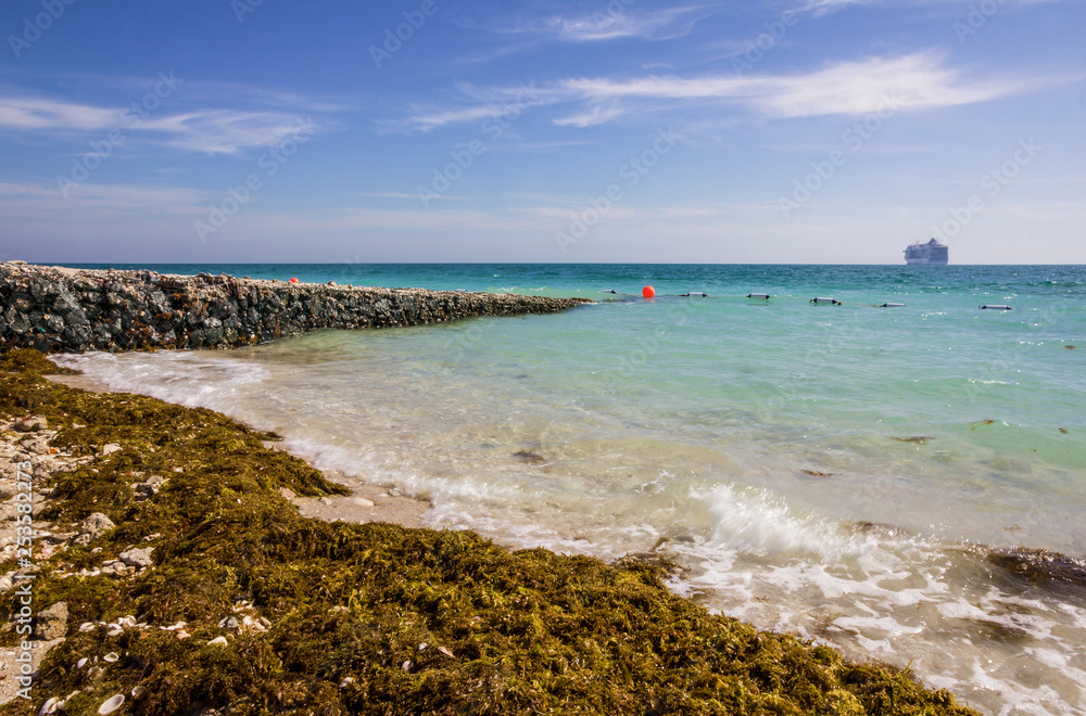 Abu Dhabi sea beach with seaweed, UAE, Sir Bani Yas island Abu Dhabi sea beach with seaweed, UAE, Sir Bani Yas island