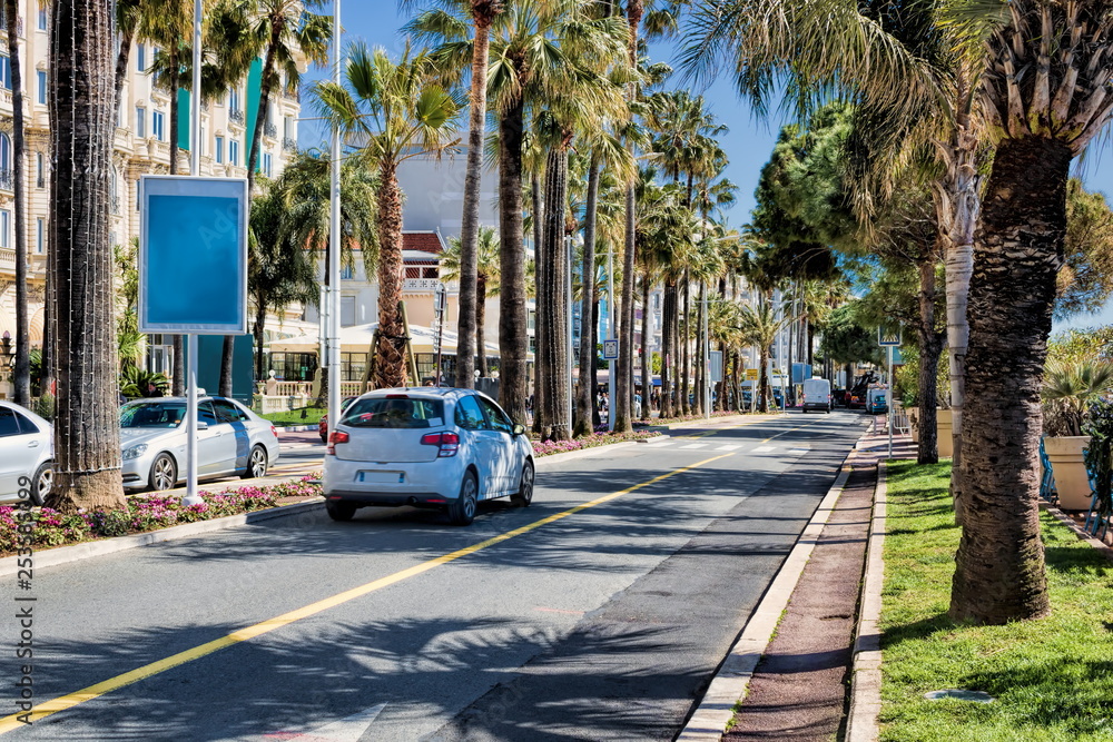 Baumallee in Cannes, Frankreich