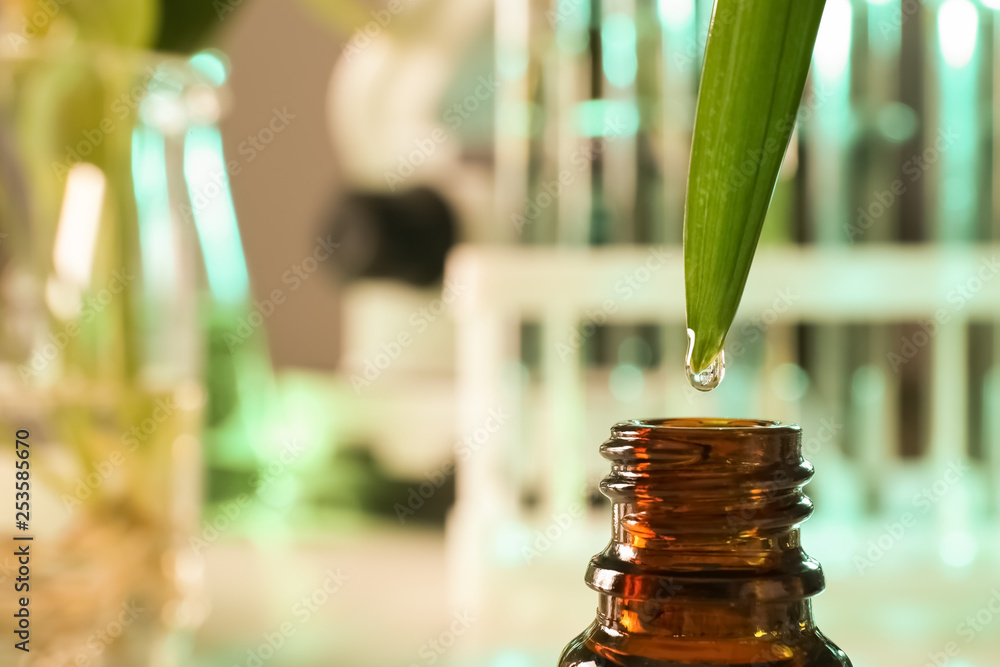 Obraz premium Clear drop falling from leaf into small bottle on blurred background, closeup with space for text. Plant chemistry