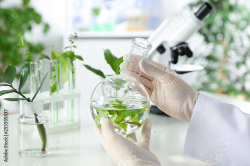 фотографія Lab assistant holding flask with leaves on blurred background, closeup