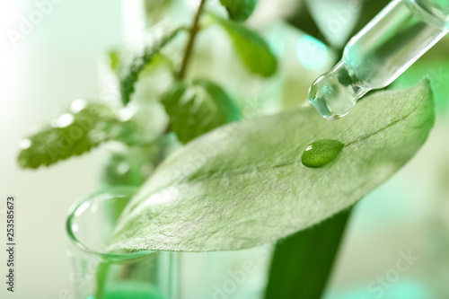 Clear liquid dropping from pipette on leaf against blurred background, closeup. Plant chemistry