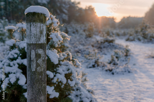 Brachter Wald schneebedeckt photo