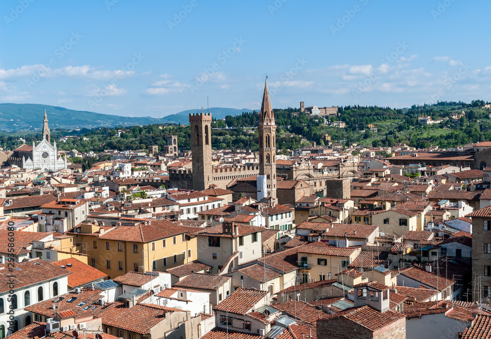 Florence cityscape from the top of the Campanile - Florence, Tuscany, Italy. You can see Church of Santa Croce and Bargello museum surrounded by the typical red roofs of the town