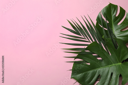 Obraz kompozycja z tropikalnych liści umieszczonych po prawej stronie na różowym tle