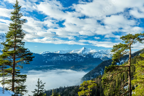 Alpenblick aus dem Bergwald