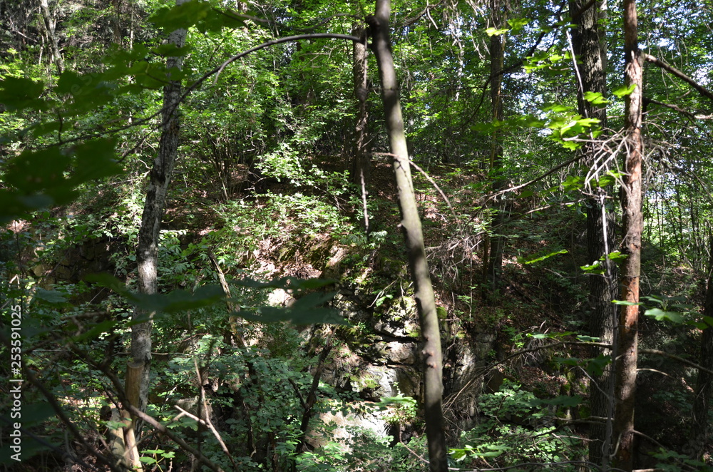 Naklejka premium DDR Oberlausitz