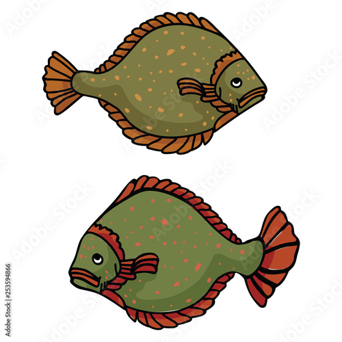 Realistic flounder cartoon vector illustration motif set. Hand drawn halibut