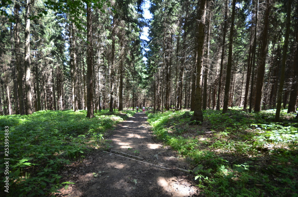 Fototapeta premium DDR Oberlausitz