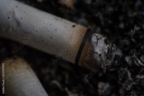 Close-up of tobacco cigarettes background or texture