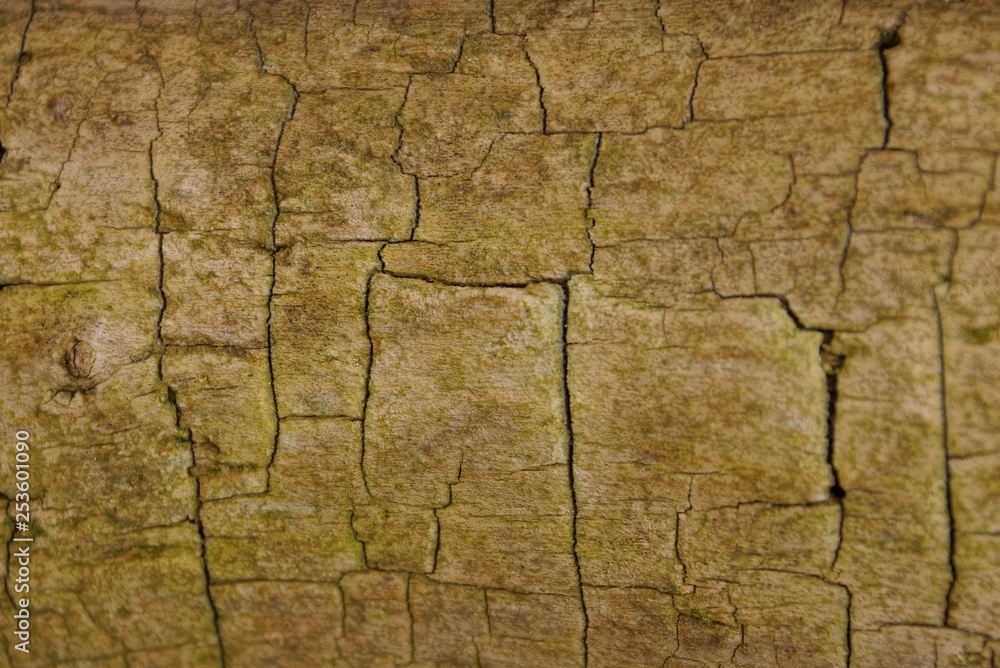 Obraz premium brown gray wooden background from old pine planks with cracks