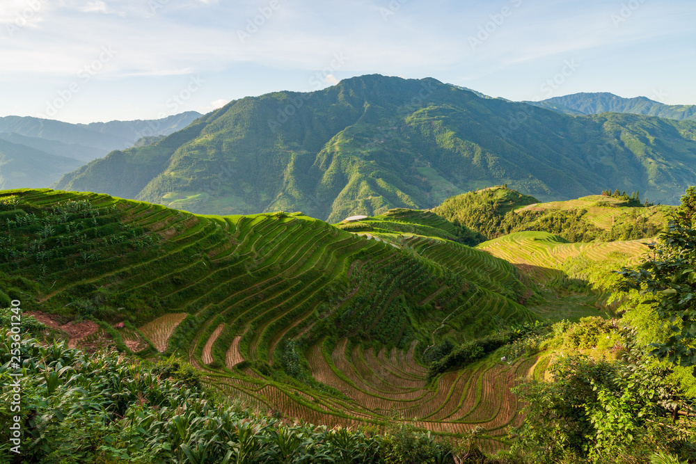 Longsheng rice terraces landscape in China Longsheng rice terraces landscape in China