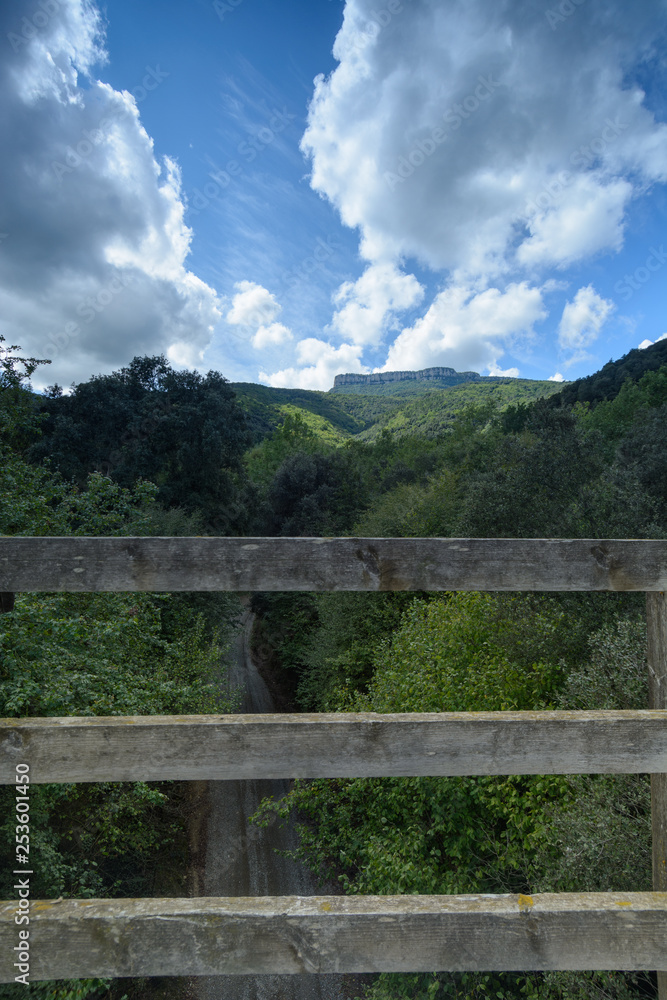 wooden fence, path & nature