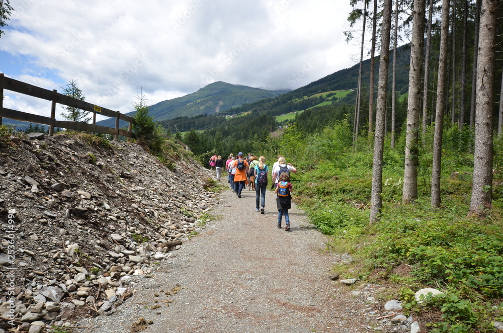 Alpen im Sommer