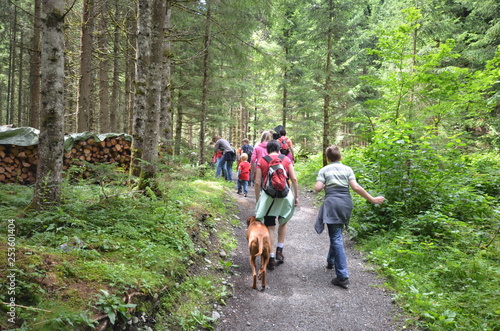 Alpen im Sommer