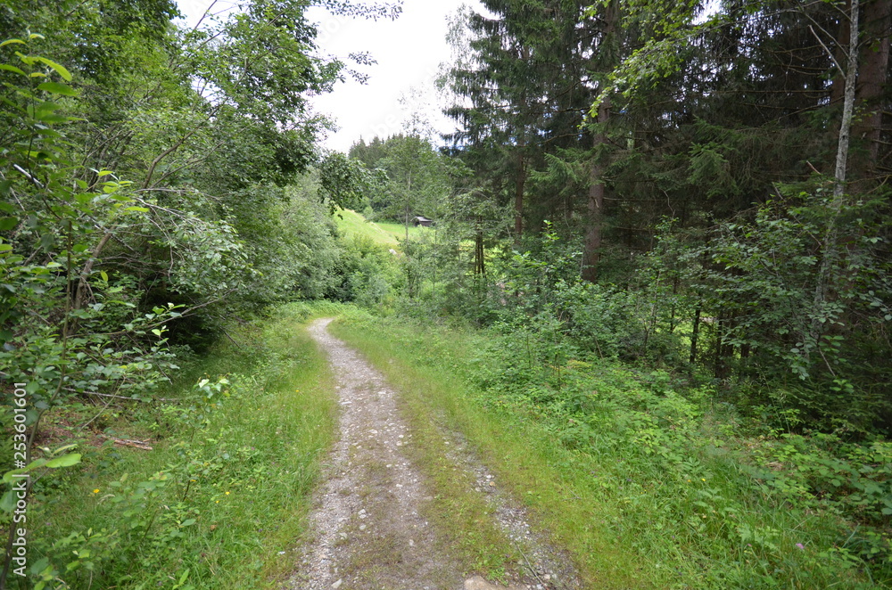 Fototapeta premium Alpen im Sommer