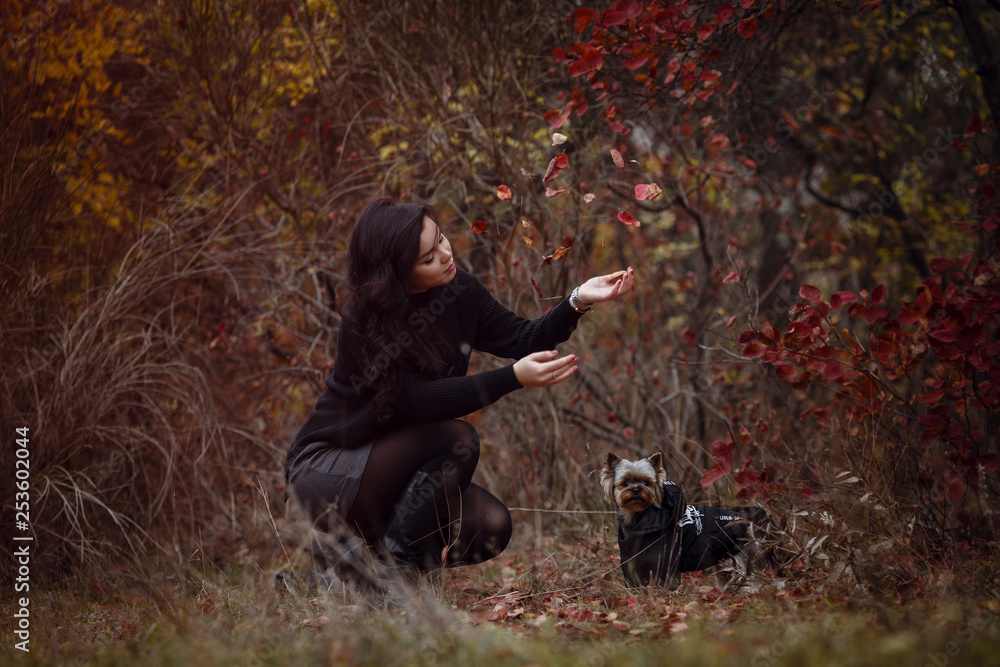 Cute young girl with yorkshire terrier dog