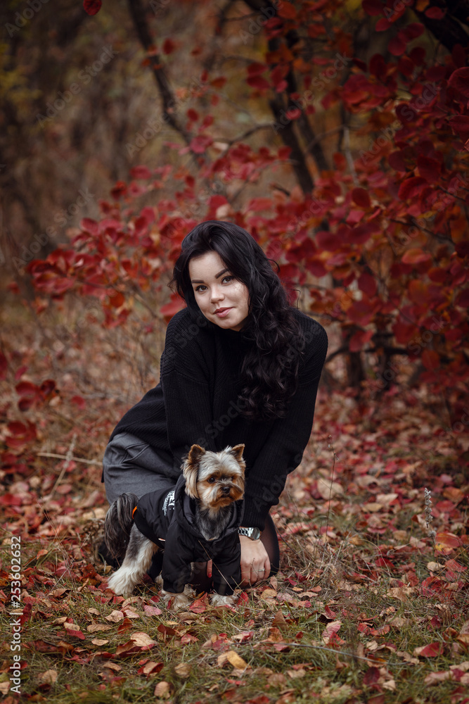 Cute young girl with yorkshire terrier dog Cute young girl with yorkshire terrier dog