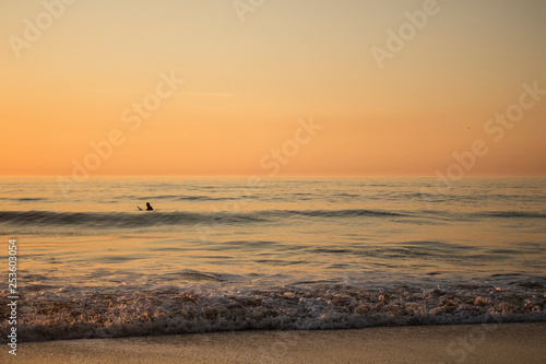 Surfer surfing in the sea, during a sunset