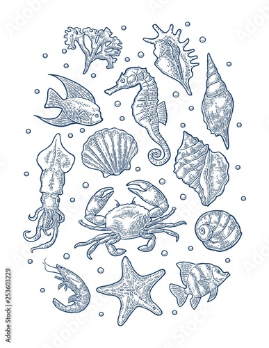 Set sea animal. Vector monochrome engraving vintage illustrations isolated on white
