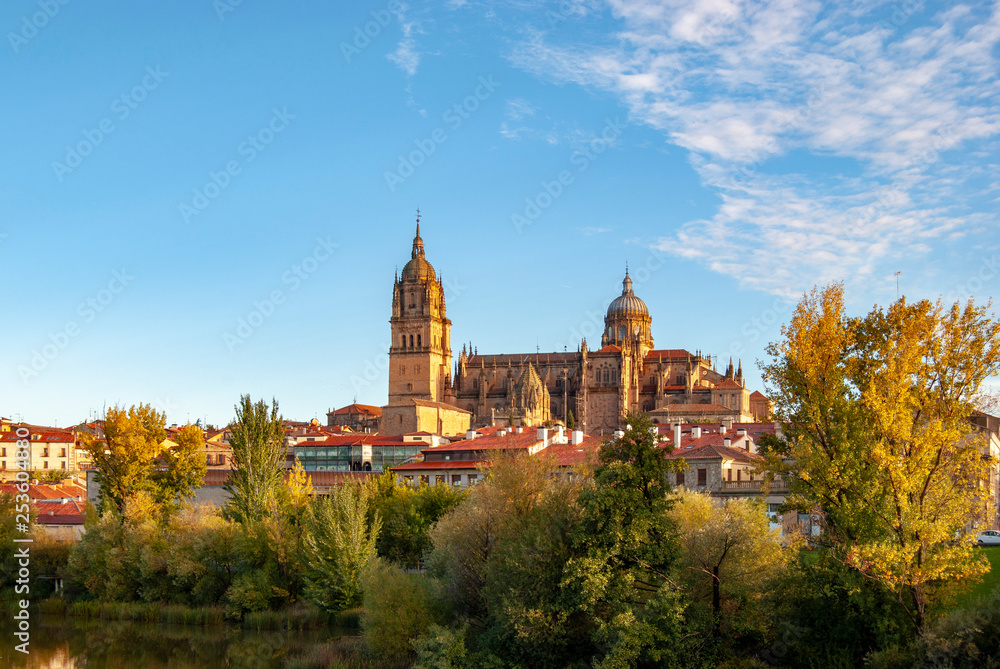 Beautiful panoramic of Salamanca