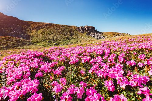 Captivating scene of the alpine valley in sunlight. Location place Carpathian Ukraine, Europe.