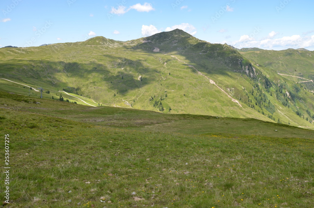 Fototapeta premium Alpen