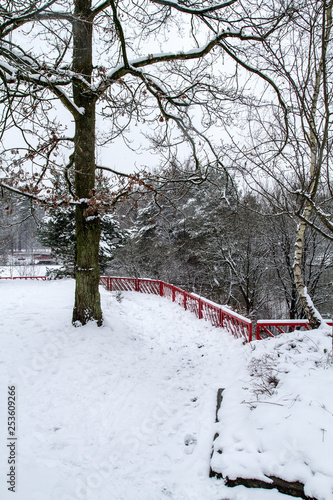 Red bridge in white snow