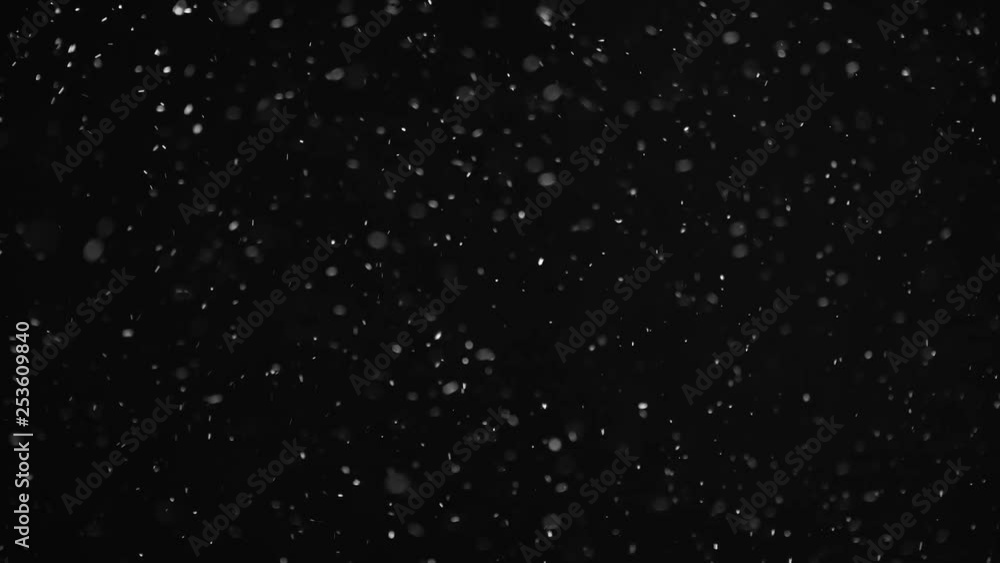 Natural Organic Dust Particles Floating On Black Background. Dynamic Dust Particles Randomly Float In Space With Fast And Slow Motion. Shimmering Glittering White Particles With Bokeh In The Air. Natural Organic Dust Particles Floating On Black Background. Dynamic Dust Particles Randomly Float In Space With Fast And Slow Motion. Shimmering Glittering White Particles With Bokeh In The Air.
