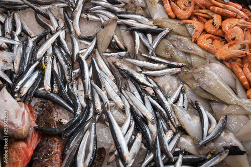 Sanary sur Mer - September 2018: Fresh fish on sale in the market of Sanary sur Mer, France