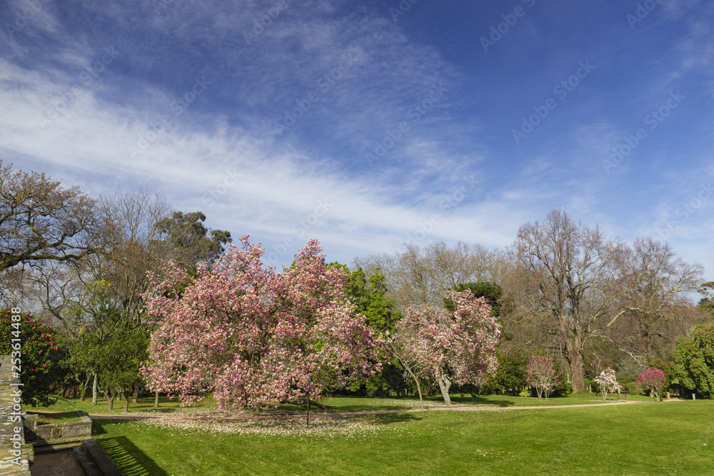 Fototapeta premium Gardens of Castrelos