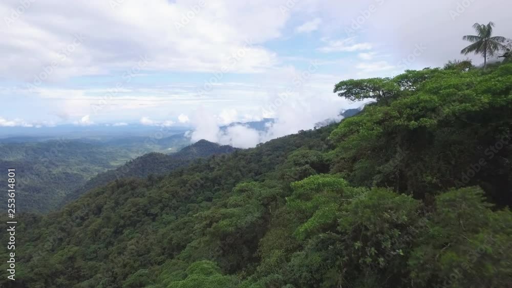 Aerial shot flying close to a jungle on the side of a mountain in South America Aerial shot flying close to a jungle on the side of a mountain in South America
