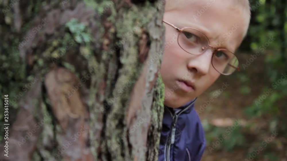 boy hiding behind a tree,in the forest, the boy in the glasses hid behind a tree of pine trees boy hiding behind a tree,in the forest, the boy in the glasses hid behind a tree of pine trees