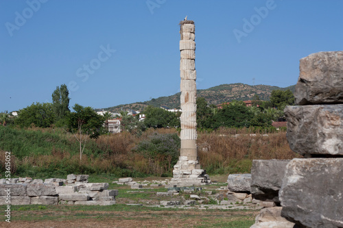 Temple of Artemis one of the seven wonder of the ancient world - Selcuk, Turkey . Storks nest in an old colony in the middle of a wasteland in the ancient city of Ephesus photo