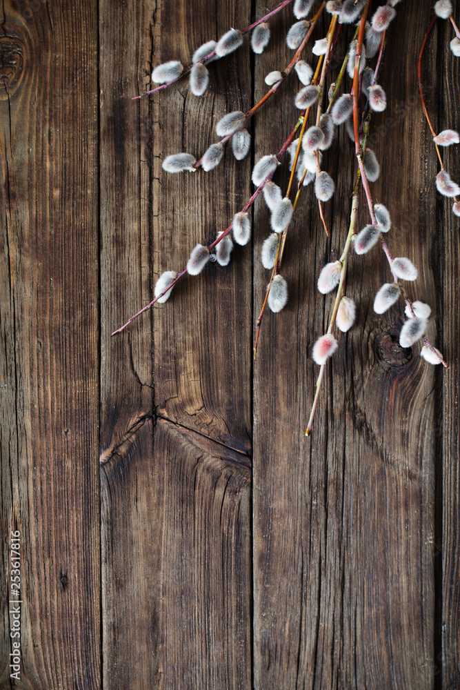 Obraz premium branches of flowering willow on wooden background