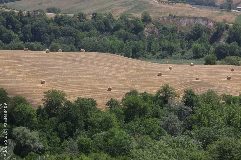 Fototapeta premium toscana