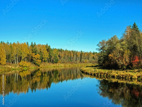Autumn landscape of Gauja river valley and colorful forest reflecting in mirror water © nomadkate