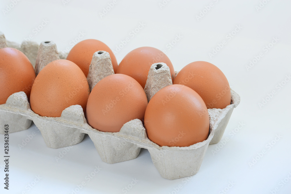 chicken eggs on white background chicken eggs on white background
