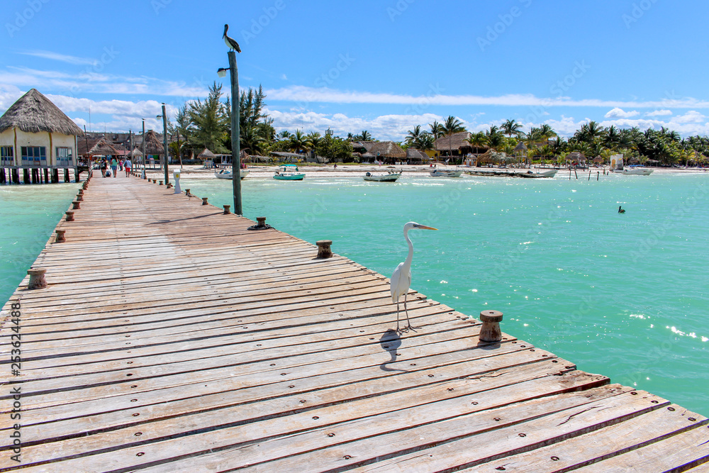 White Heron/Garza standing in a Caribbean Pier