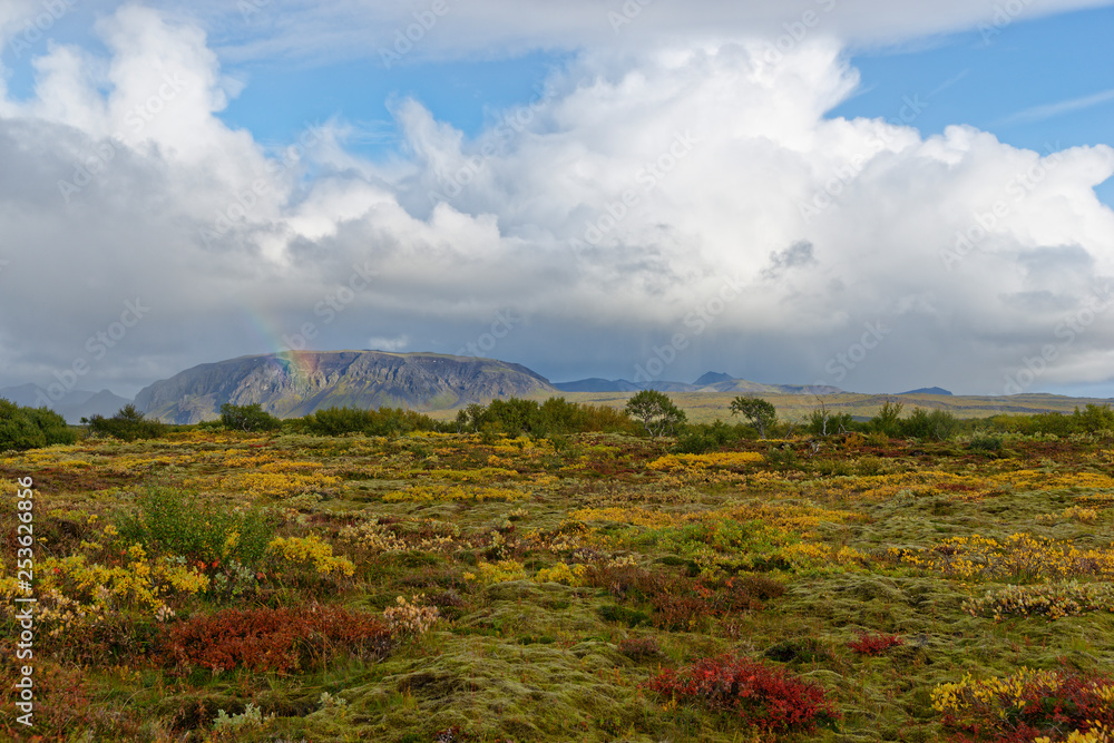 herbstliche Landschaft bei Pingvellir, Island
