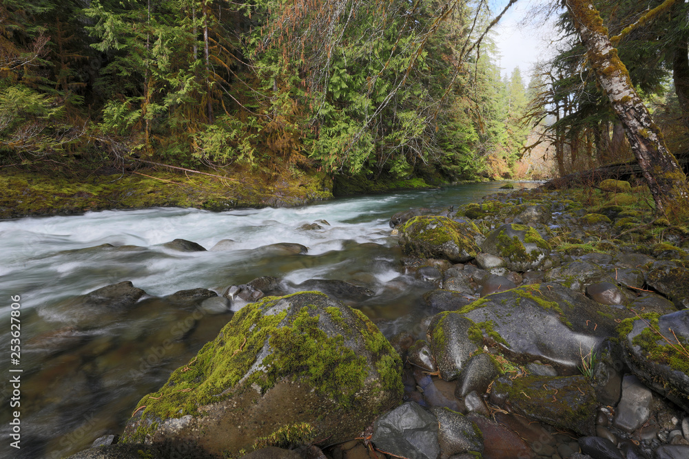 Olympic National Park, WA, USA. 