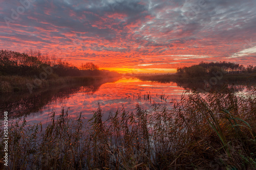 Dawn at Shapwick Heath photo